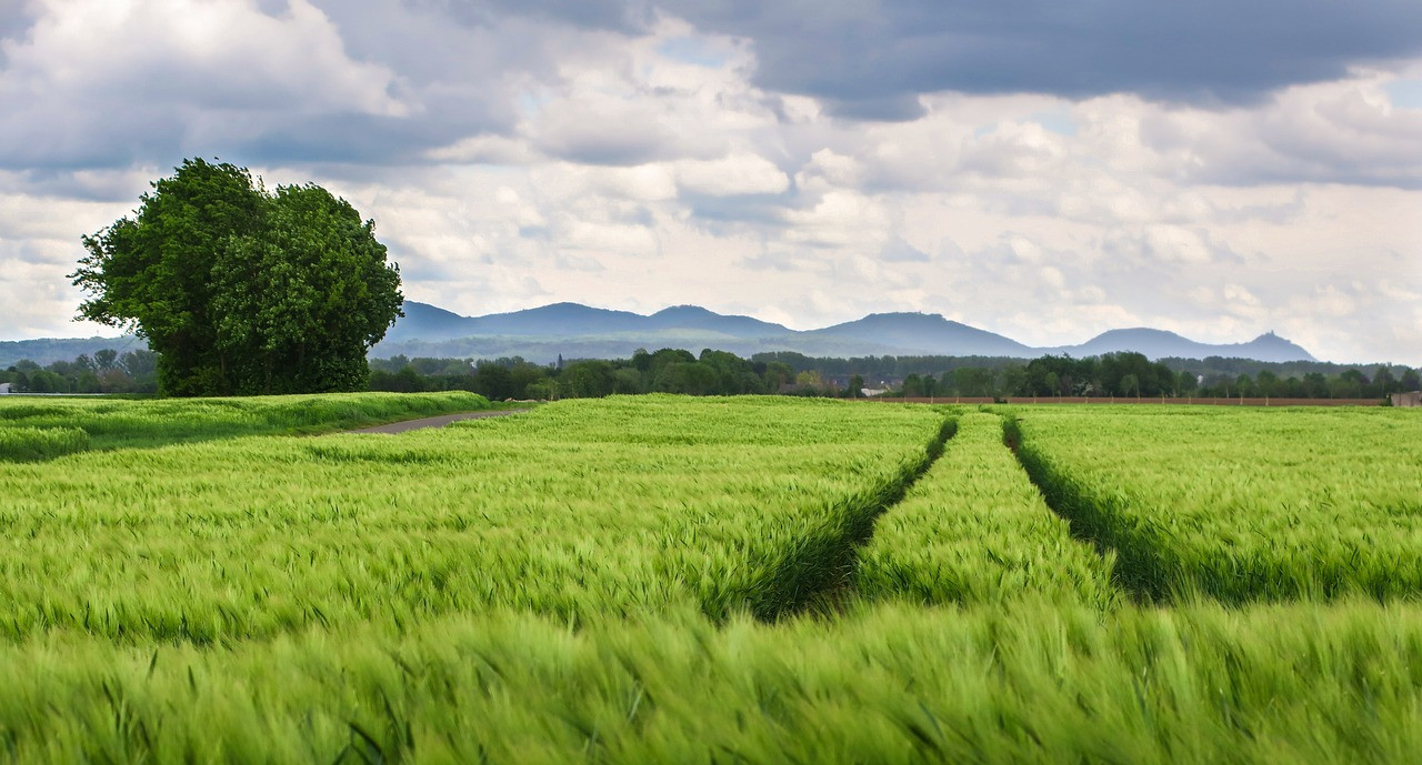 Agribusiness And Post Harvest Management Training Course