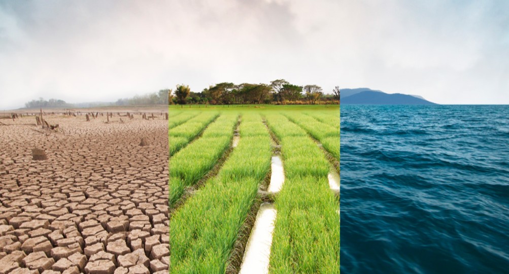 Climate Change Adaptation in a Changing Environment Course