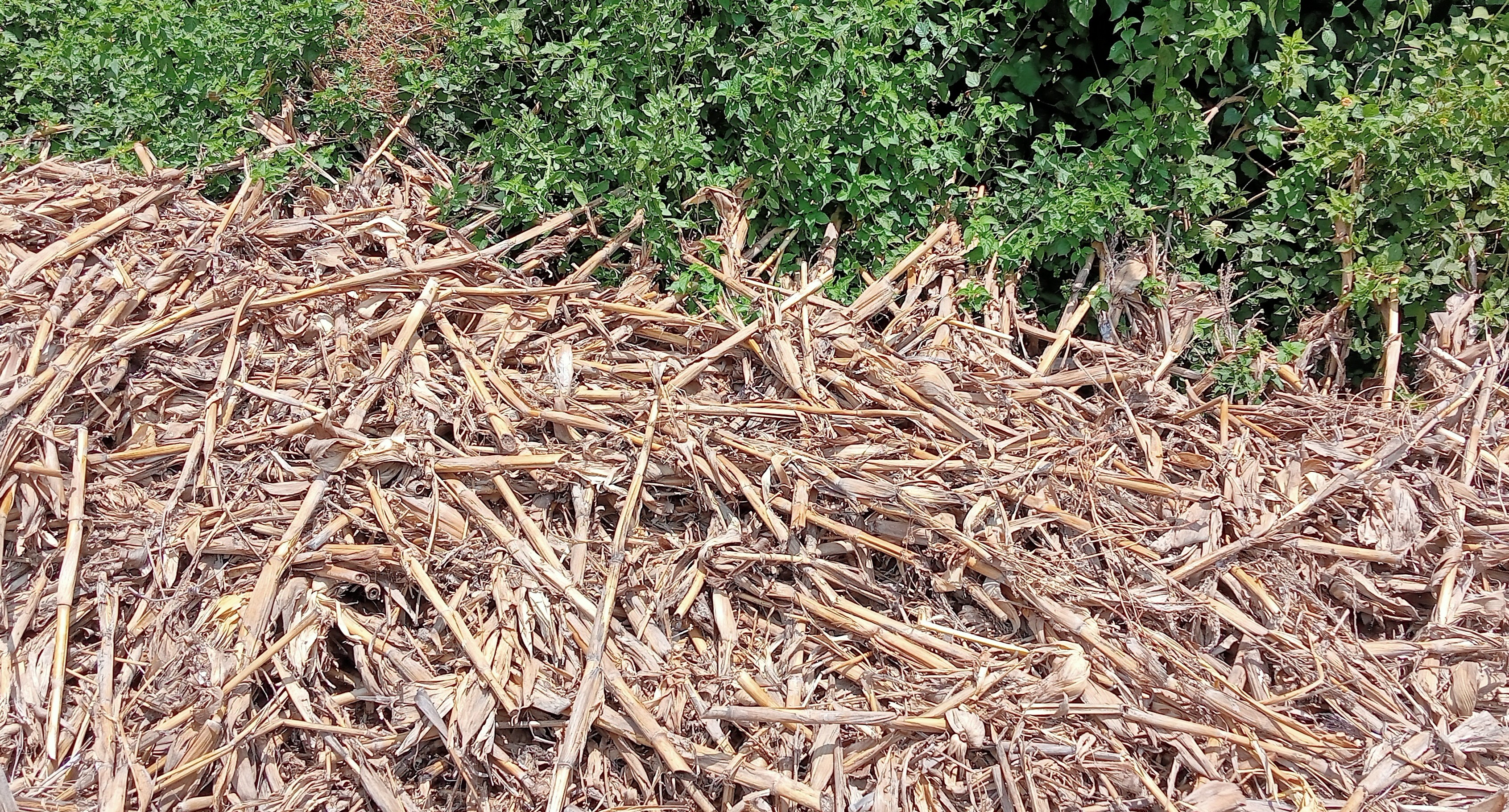 Introduction to Permaculture and Regenerative Agriculture 
